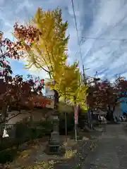 阿邪訶根神社(福島県)