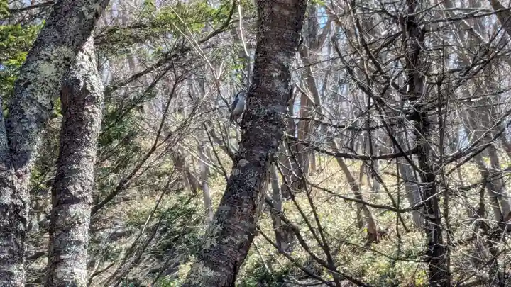 別保神社の動物