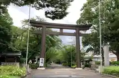 愛知縣護國神社の鳥居