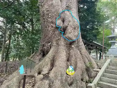 五所八幡宮の自然