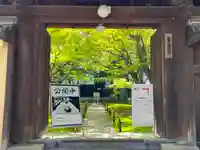 黄梅院(京都府)