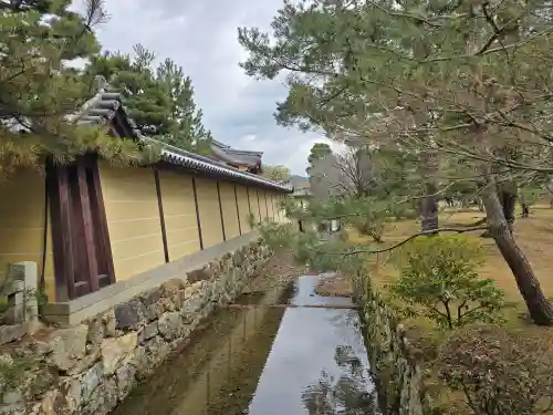 大覚寺(京都府)