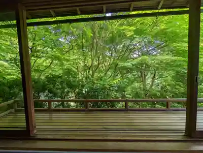 光明寺瑠璃光院(京都府)