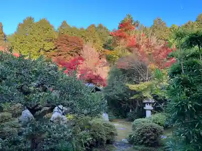 曼殊院門跡(京都府)
