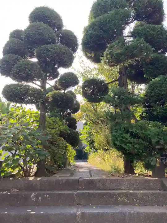 蟠龍寺(東京都)