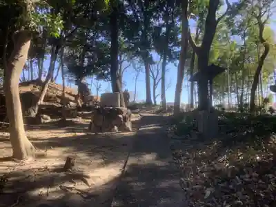 生目八幡宮の自然