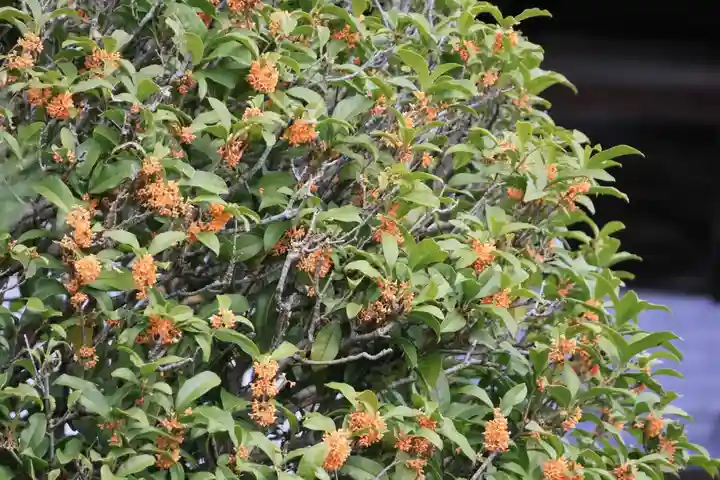 大鏑神社の庭園