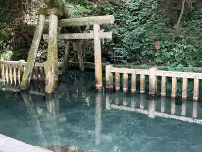 鹿島神宮(茨城県)