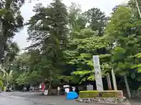 椿大神社(三重県)