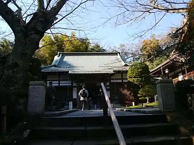 報国寺の本殿・本堂