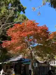 春日大社の建物その他