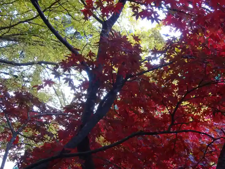 大山寺(神奈川県)