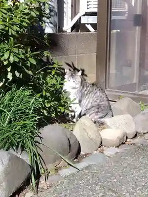 杉杜白髭神社(福井県)