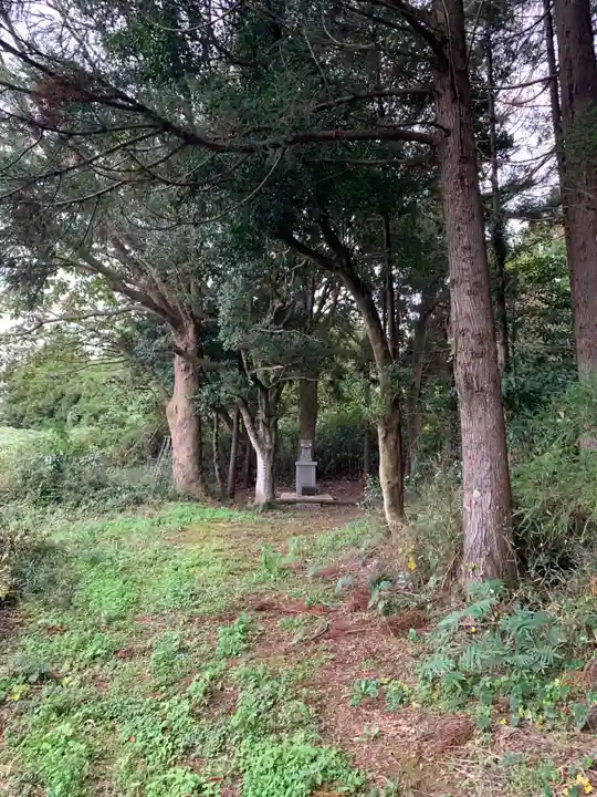 青龍大権現(千葉県)