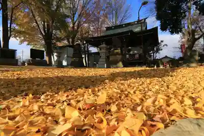 熊野福藏神社の本殿・本堂