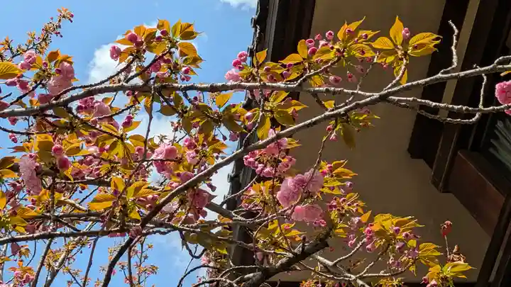 本昌寺(京都府)