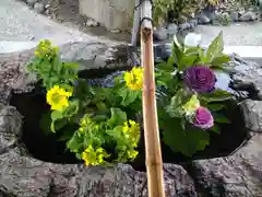 阿智神社の手水