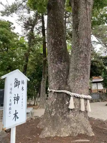 玉村八幡宮(群馬県)