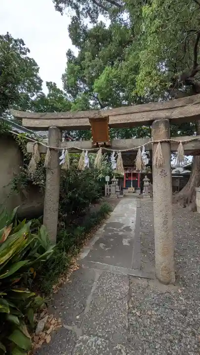 生根神社(大阪府)