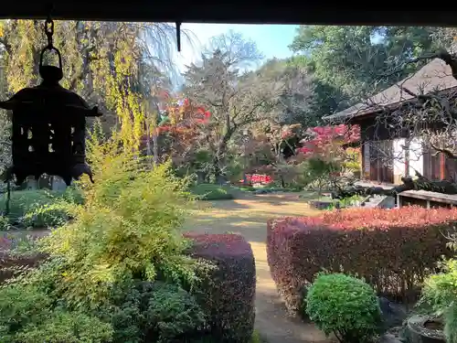 喜多院(埼玉県)