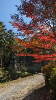 神藏寺(京都府)