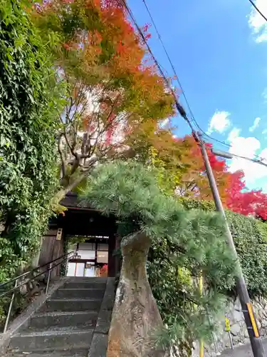 金福寺の山門