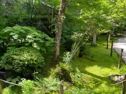 大日寺(高知県)