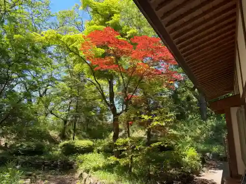 武田神社の{uncategorized: "未分類", other: "その他", undefined: "問題あり", building: "その他建物", grave: "お墓", sacred_gate: "鳥居", guardian: "狛犬", statue: "像", buddha: "仏像", history: "歴史", nature: "自然", garden: "庭園", animal: "動物", pagoda: "塔", temizu: "手水舎", mountain_gate: "山門・神門", sanctuary: "本殿・本堂", subordinate: "末社・摂社", art: "芸術", scenery: "景色", jizo: "地蔵", ema: "絵馬", goshuin: "御朱印", omikuji: "おみくじ", items: "授与品その他", amulet: "お守り", goshuincho: "御朱印帳", eats: "食事", festival: "お祭り", votive_dance: "神楽", shichigosan: "七五三参", wedding: "結婚式", experience: "体験その他", initially: "初詣", around: "周辺", anti_infection: "感染症対策"}
