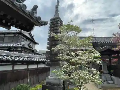 海蔵寺の{uncategorized: "未分類", other: "その他", undefined: "問題あり", building: "その他建物", grave: "お墓", sacred_gate: "鳥居", guardian: "狛犬", statue: "像", buddha: "仏像", history: "歴史", nature: "自然", garden: "庭園", animal: "動物", pagoda: "塔", temizu: "手水舎", mountain_gate: "山門・神門", sanctuary: "本殿・本堂", subordinate: "末社・摂社", art: "芸術", scenery: "景色", jizo: "地蔵", ema: "絵馬", goshuin: "御朱印", omikuji: "おみくじ", items: "授与品その他", amulet: "お守り", goshuincho: "御朱印帳", eats: "食事", festival: "お祭り", votive_dance: "神楽", shichigosan: "七五三参", wedding: "結婚式", experience: "体験その他", initially: "初詣", around: "周辺", anti_infection: "感染症対策"}