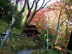 愛宕念仏寺(京都府)