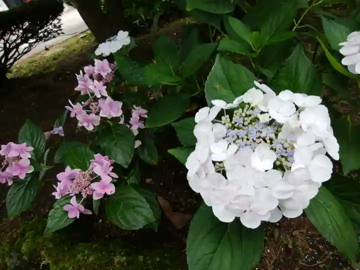 美幌神社の自然