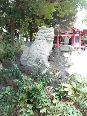 柏諏訪神社の狛犬