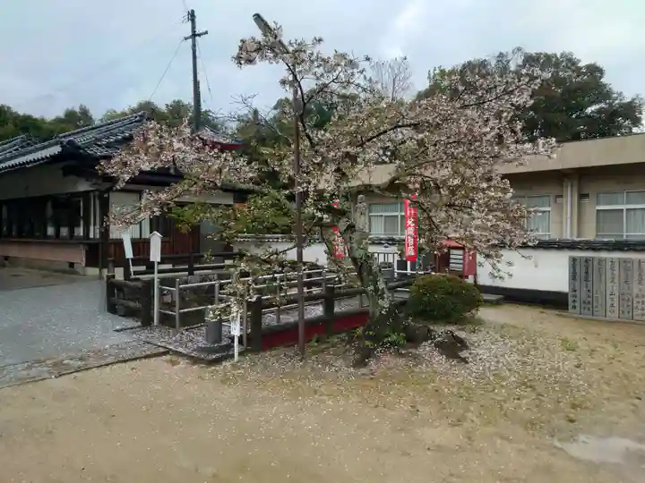與田寺(香川県)