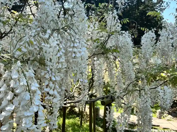歌泉堂(春日大社神苑萬葉植物園内鎮座)(奈良県)