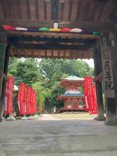 慈尊院の山門・神門