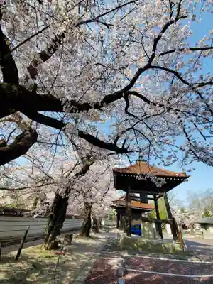 如宝寺のその他建物