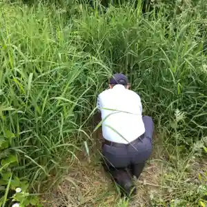 七重浜海津見神社のその他建物(2023年06月22日(木) 12時03分13秒投稿)