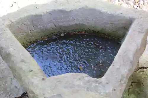 和田神社の手水舎