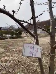 壮瞥神社の手水