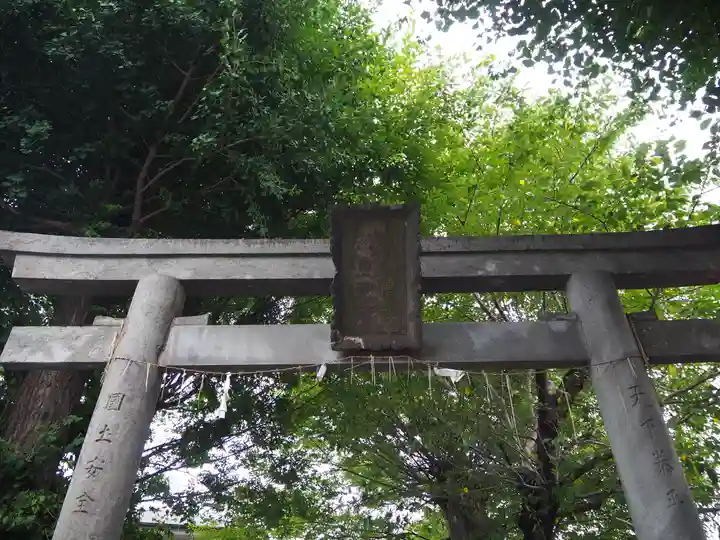 赤塚氷川神社の鳥居