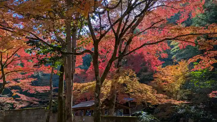 吟松寺(京都府)