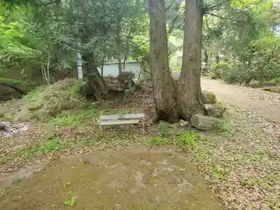 長谷寺(群馬県)
