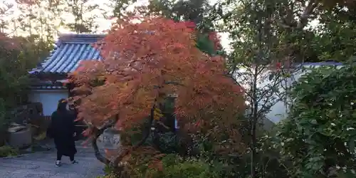 霊源院(京都府)