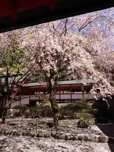 霧島神宮の庭園