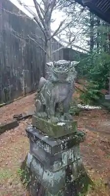 温泉神社の狛犬