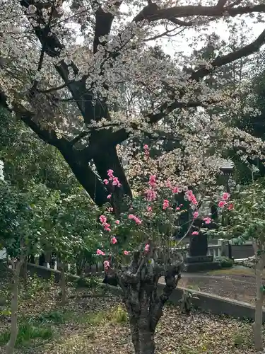 簳幹八幡宮(東京都)
