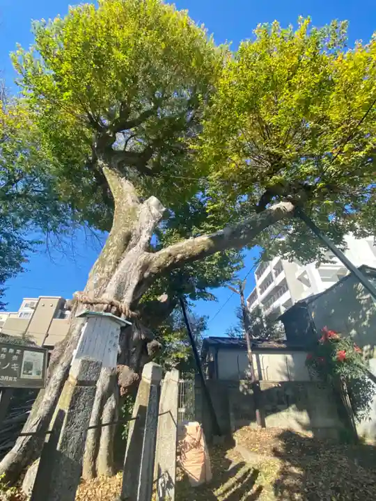 宇賀神社(京都府)