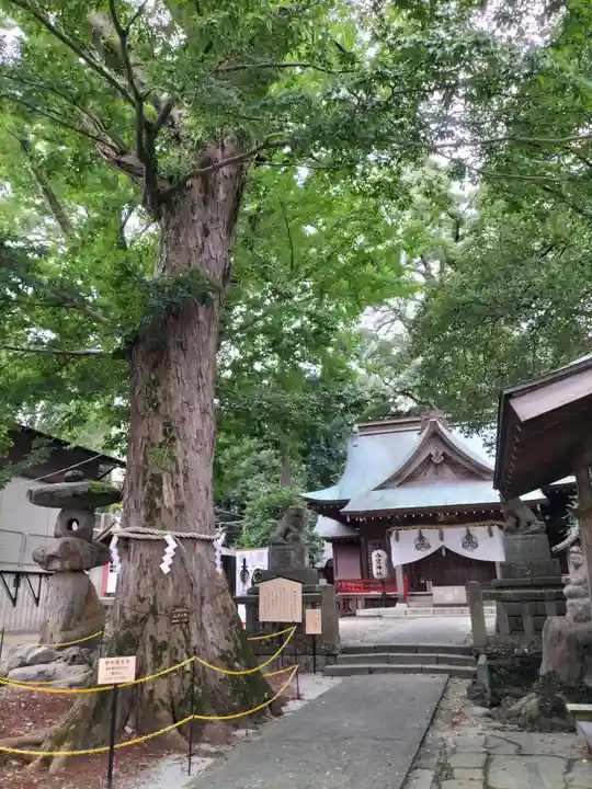 今宮神社(静岡県)