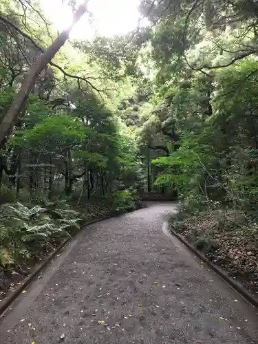 明治神宮の自然