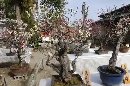 菅原天満宮（菅原神社）のその他建物